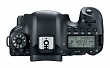 Canon EOS 6D Mark II Upside