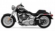 Harley Davidson Fat Boy Special Picture 2