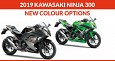 2019 Kawasaki Ninja 300 Furnishes with Two New Colour Options