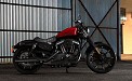 Harley Davidson Iron 883 Hard Candy Custom pictures
