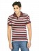Lee men Striped Maroon t-shirt pictures