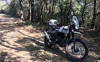 Royal Enfield Himalayan Style pictures