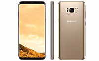 Samsung Galaxy S8 Plus Maple Gold Front,Back And Side pictures