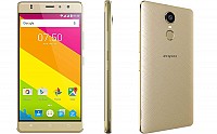 Zopo Color F5 Gold Front,Back And Side pictures