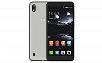 ZTE A530 Grey Front And Back pictures