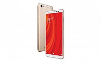 Lava Z61 Side, Back and Front pictures
