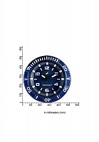 Fastrack Blue Analog Watch Photo pictures