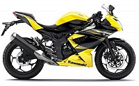 Kawasaki Ninja RR Mono Yellow pictures
