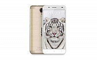 Ulefone Tiger Champagne Gold Front and Back pictures