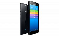 Xolo Black Front,Back And Side pictures
