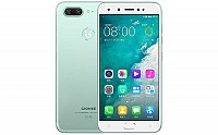 Gionee S10 Primrose Green Front And Back pictures