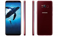 Samsung Galaxy S8 Burgundy Red Front,Back And Side pictures