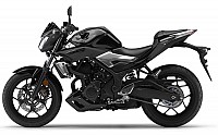 Yamaha MT 25 pictures