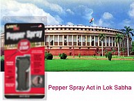 Telangana Bill turned into acrimonious pepper spray act in Lok Sabha