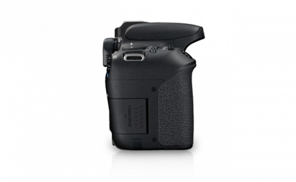 Canon EOS 77D DSLRs