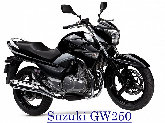 Suzuki Bike 2013