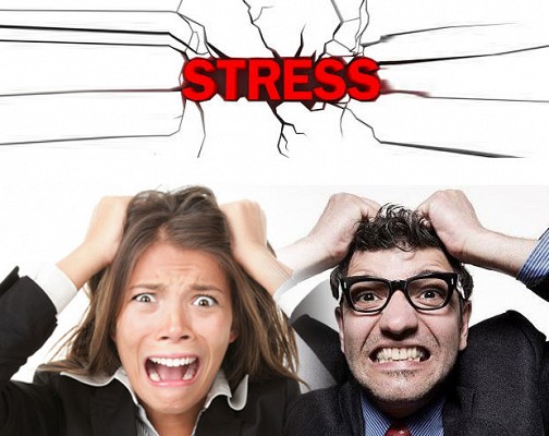 stress and partner