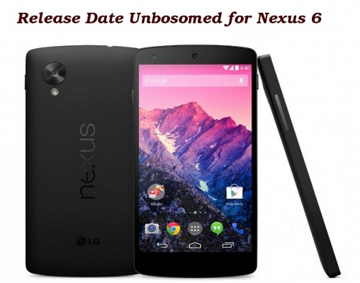 Motorola Shamu Nexus 6