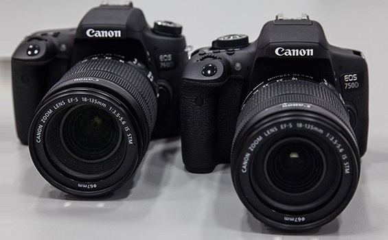 Canon Rebel T6s and T6i