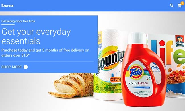 Google Grocery Store single day delivery