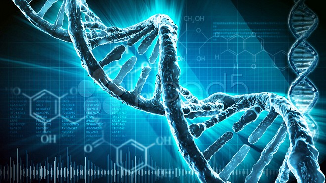 Researchers have built up an algorithm that uses DNA strands