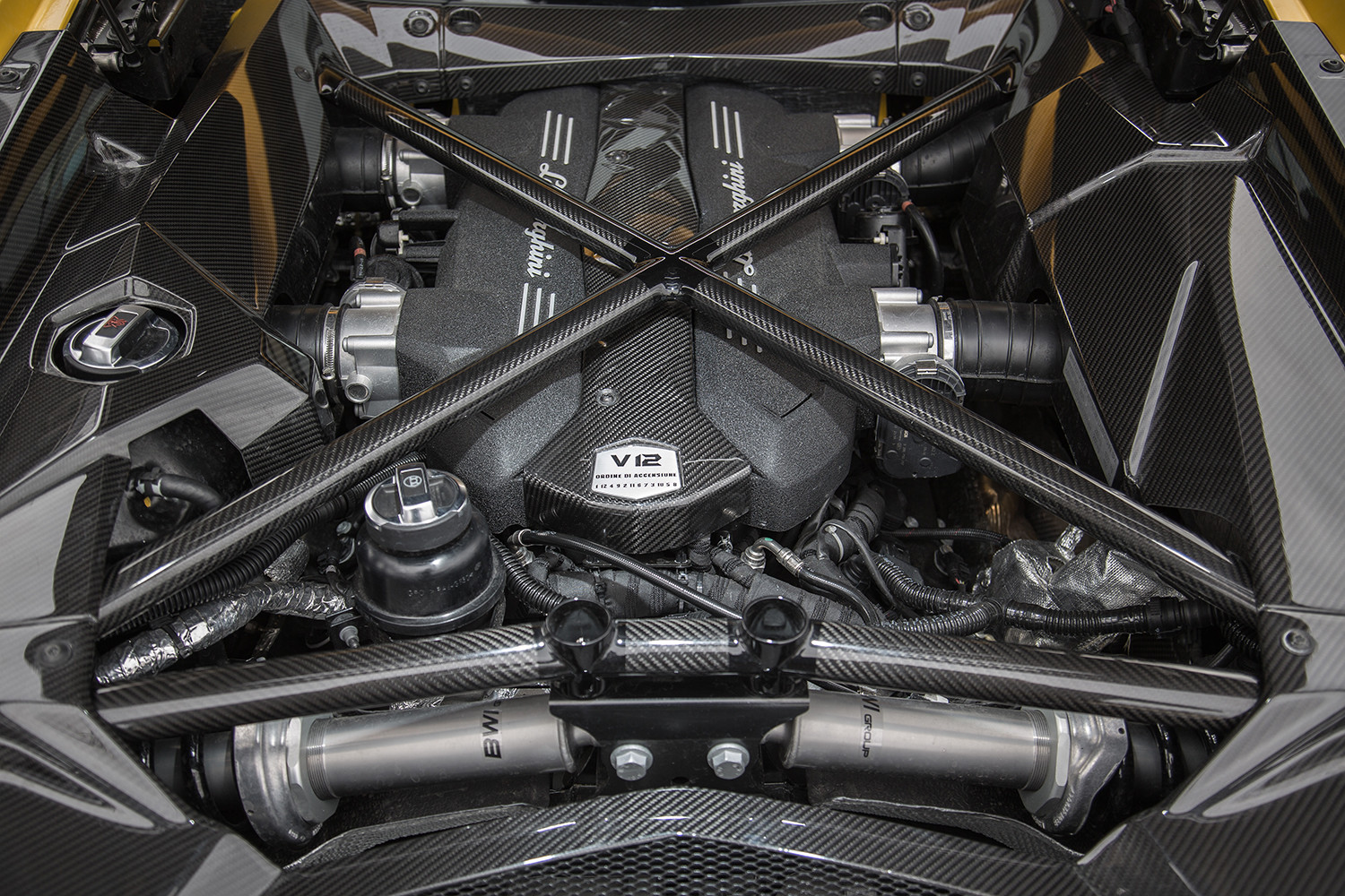 2017 Lamborghini Aventador S india Engine