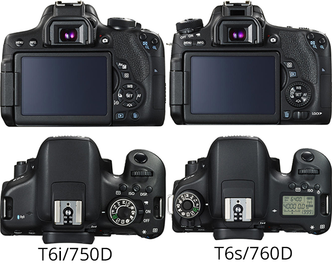 Canon EOS Rebel T6s and T6i