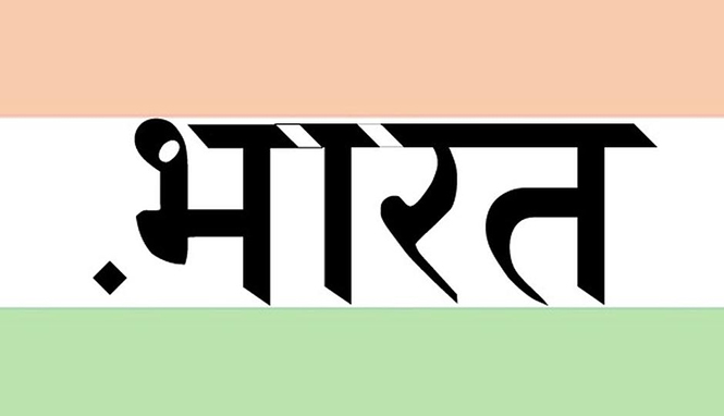 dot Bharat domain