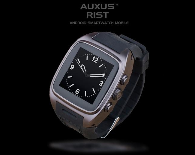 iBerry Auxus RIST