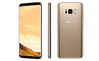 Samsung Galaxy S8 Maple Gold Front,Back And Side pictures