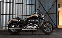 harley davidson 1200 custom Silver Fortune pictures