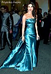 Captivating dress up of Celebrities in Filmfare Awards 2013