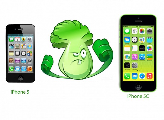 : iPhone 5 vs iPhone 5C