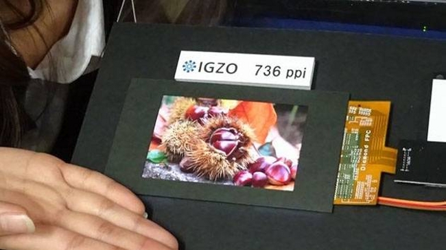 Sharp develops 4K IGZO Display