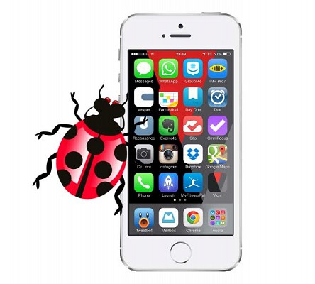iPhone Bug