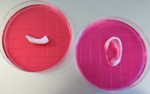 A-new-3D-Bio-Printer-can-produce-Human-Organs-and-Tissues