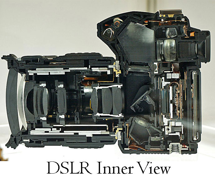 DSLR-inner-view