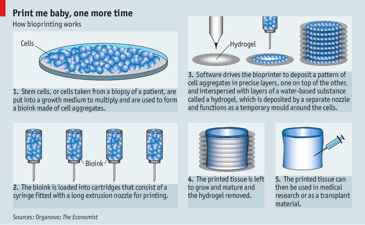 Image-describing-the-working-of-Bio-Printing