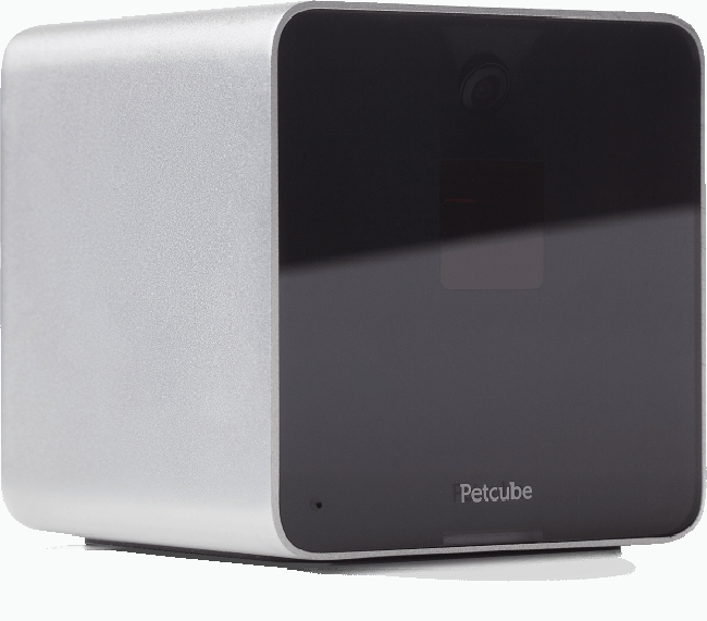 PetCube Wi-Fi Camera