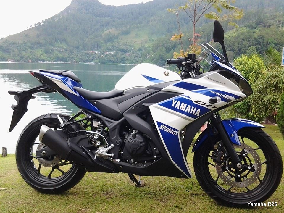Yamaha YZF-R25 Side Profile